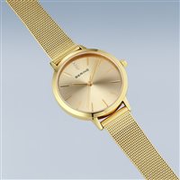 Orologio Bering Donna Classic Collection in Acciaio 13434-333 - 13434-333